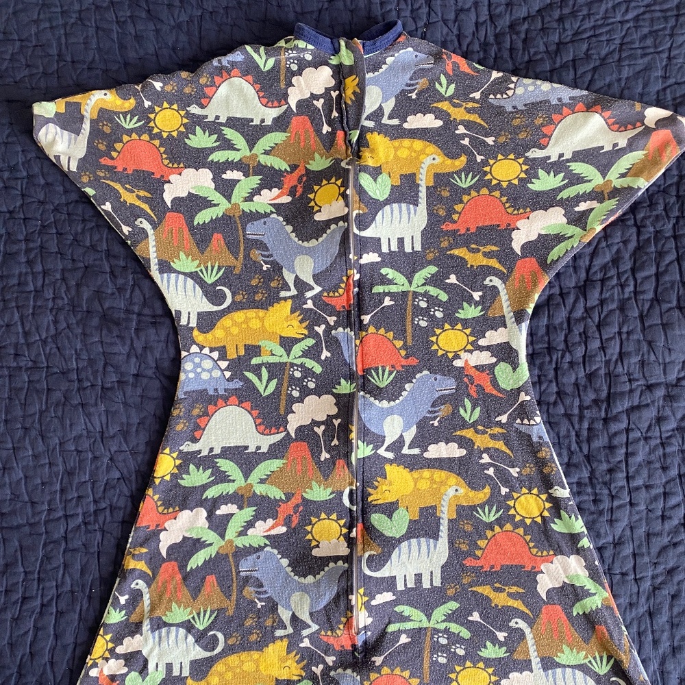 Zipadee Zip Dinosaurs medium